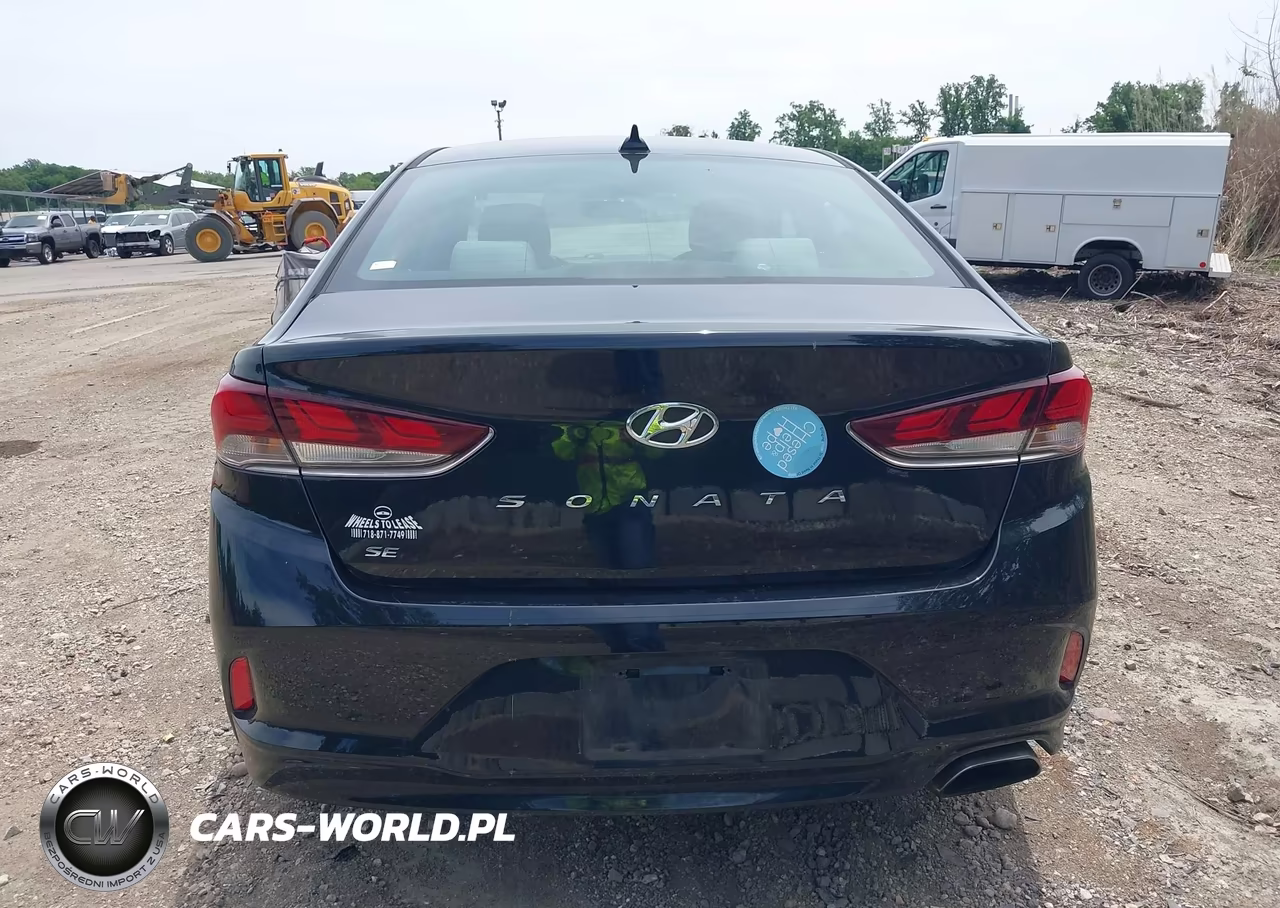2019 Hyundai Sonata Se VIN:5NPE24AF3KH812683 - 16