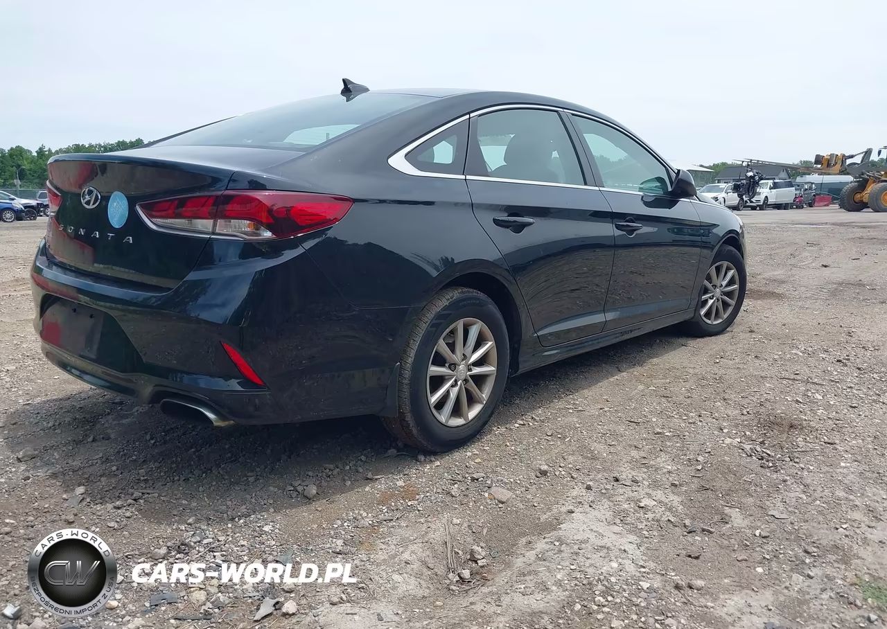 2019 Hyundai Sonata Se VIN:5NPE24AF3KH812683 - 4
