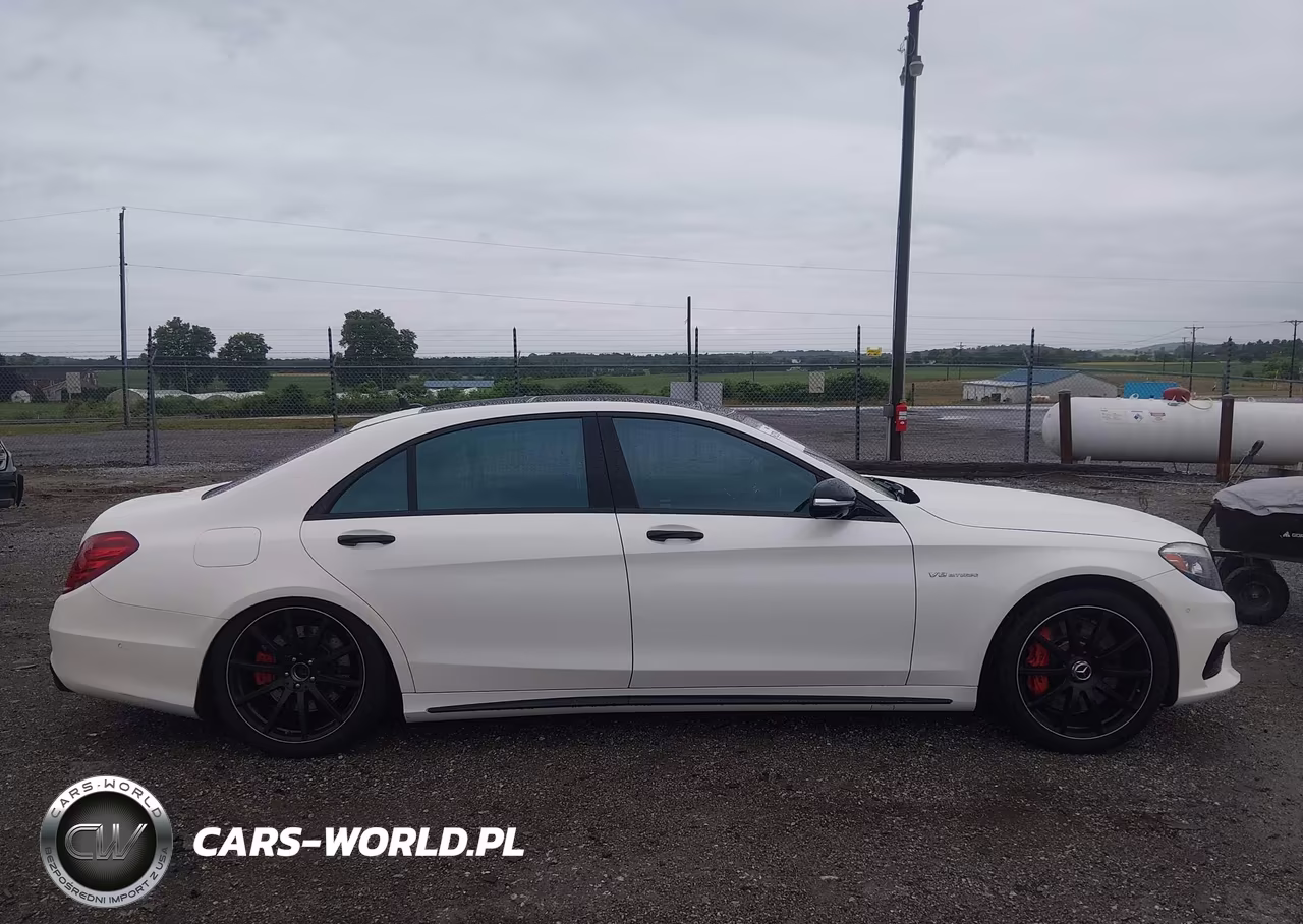 2017 Mercedes-Benz Amg S 63 4Matic VIN:WDDUG7JB3HA325792 - 13