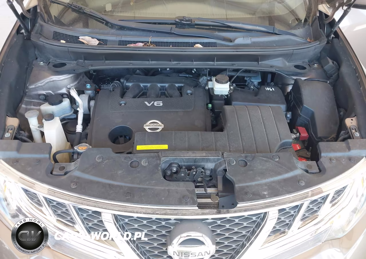 2013 Nissan Murano Le VIN:JN8AZ1MW2DW303254 - 10
