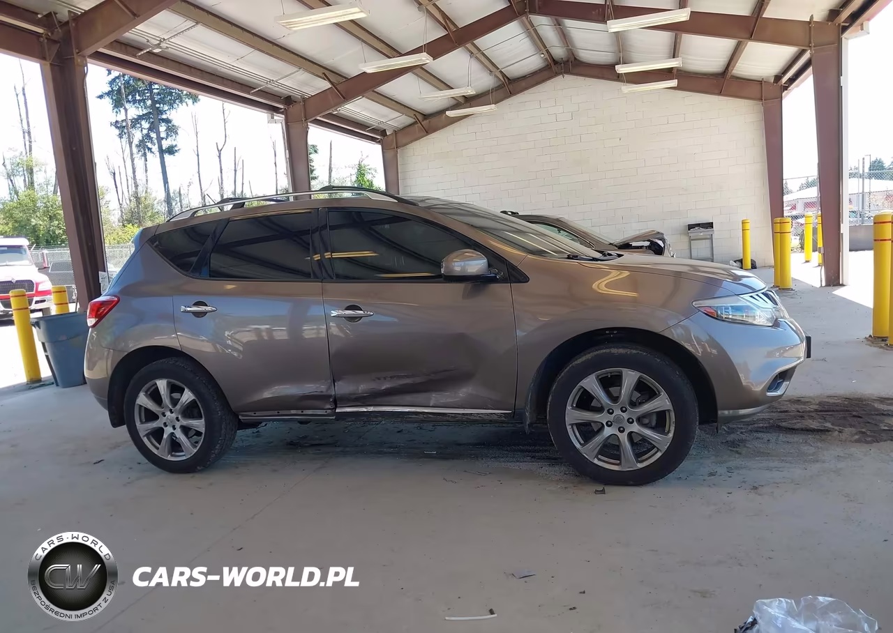2013 Nissan Murano Le VIN:JN8AZ1MW2DW303254 - 13