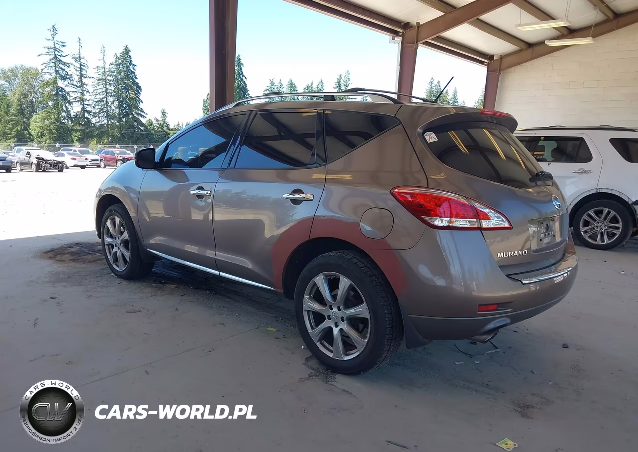 2013 Nissan Murano Le VIN:JN8AZ1MW2DW303254 - 3