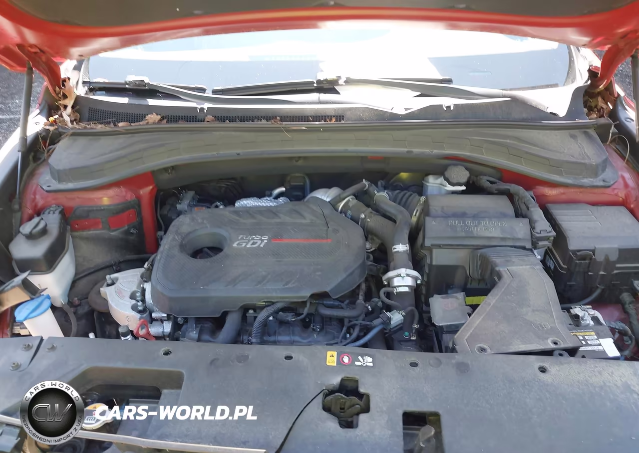 2019 Hyundai Santa Fe Limited 2.0T VIN:5NMS53AA5KH027149 - 10