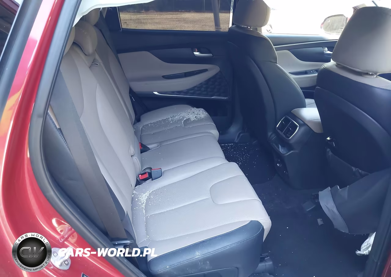 2019 Hyundai Santa Fe Limited 2.0T VIN:5NMS53AA5KH027149 - 8