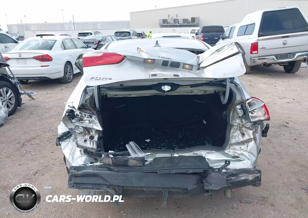 2016 Kia Forte Lx VIN:KNAFK4A6XG5608715 - 17
