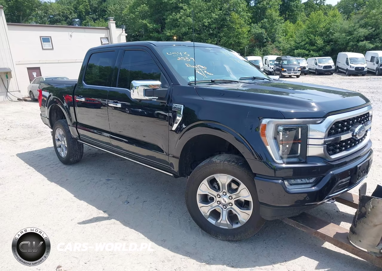2023 Ford F-150 Platinum VIN:1FTFW1E86PFC25172 - 1