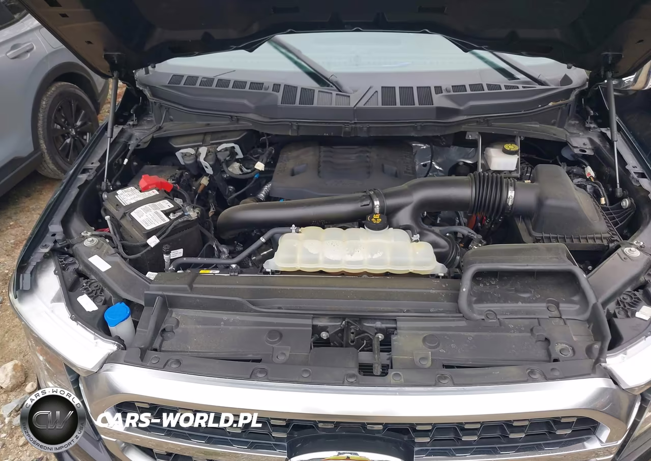2023 Ford F-150 Platinum VIN:1FTFW1E86PFC25172 - 10
