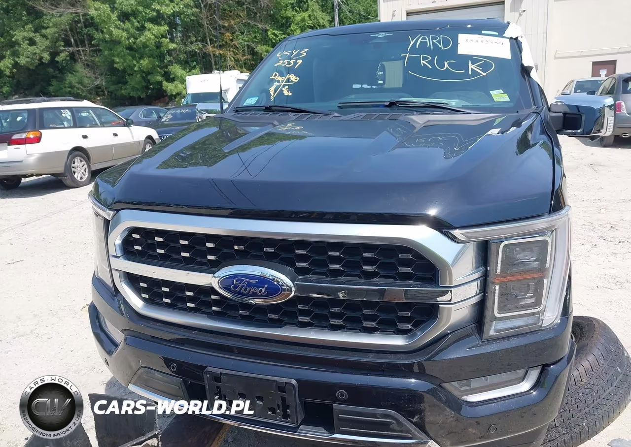 2023 Ford F-150 Platinum VIN:1FTFW1E86PFC25172 - 12