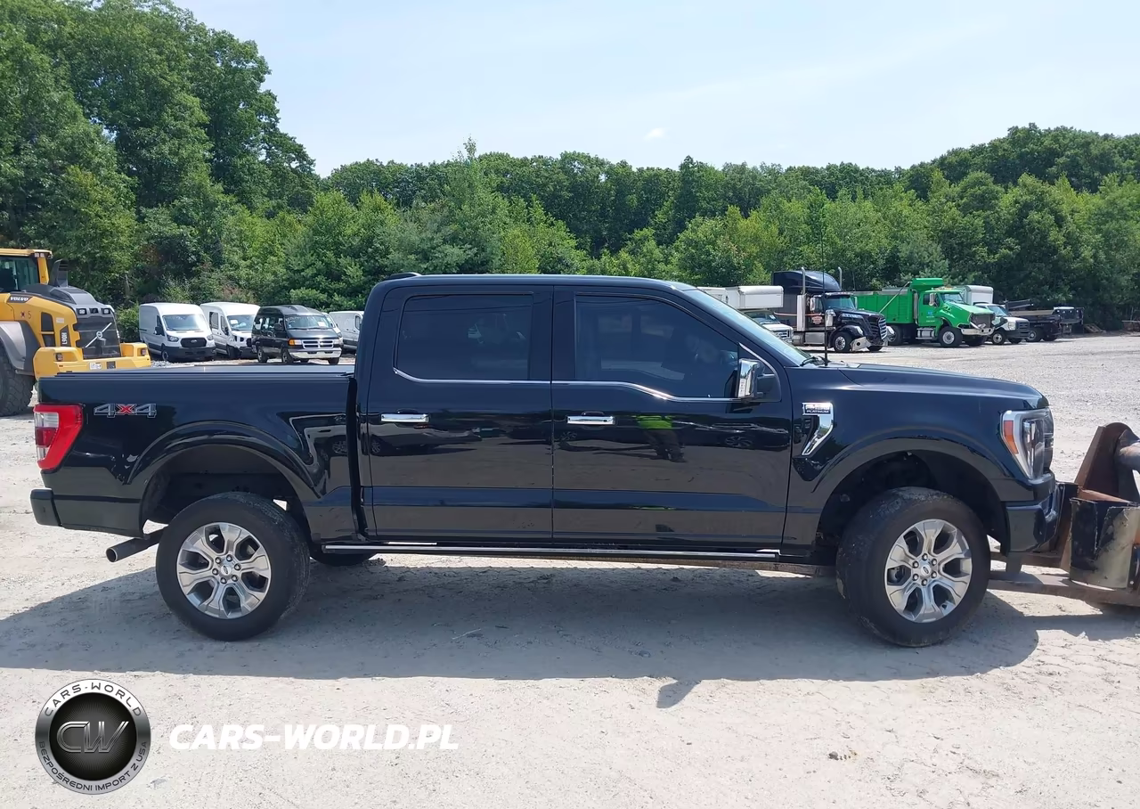 2023 Ford F-150 Platinum VIN:1FTFW1E86PFC25172 - 13