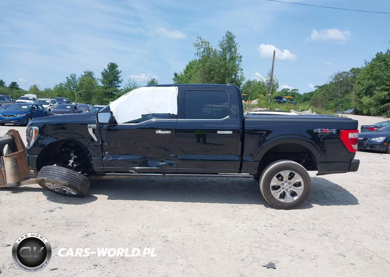 2023 Ford F-150 Platinum VIN:1FTFW1E86PFC25172 - 14