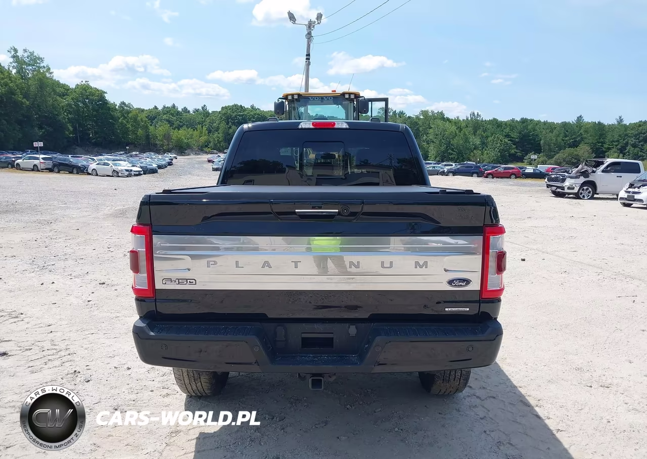 2023 Ford F-150 Platinum VIN:1FTFW1E86PFC25172 - 16