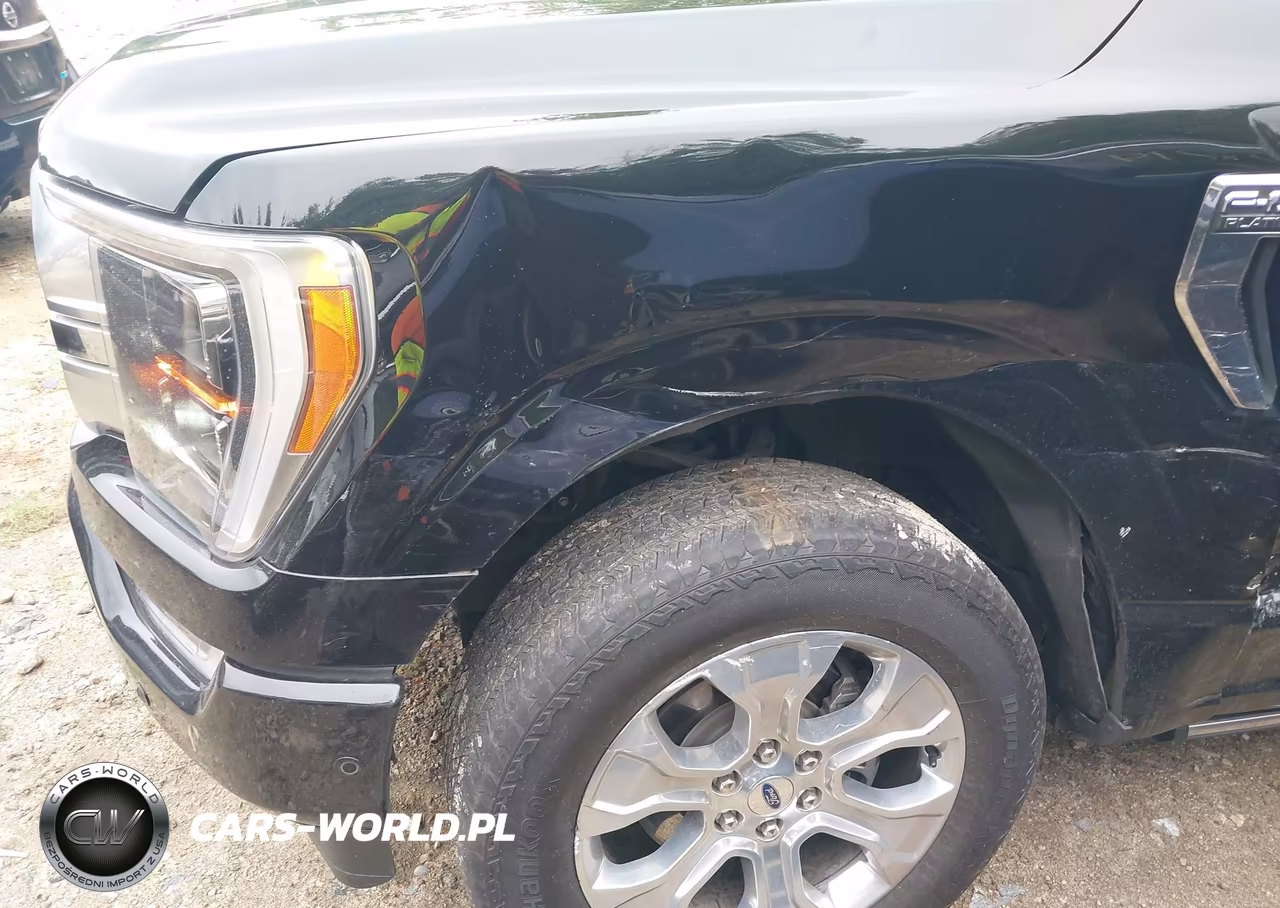 2023 Ford F-150 Platinum VIN:1FTFW1E86PFC25172 - 17