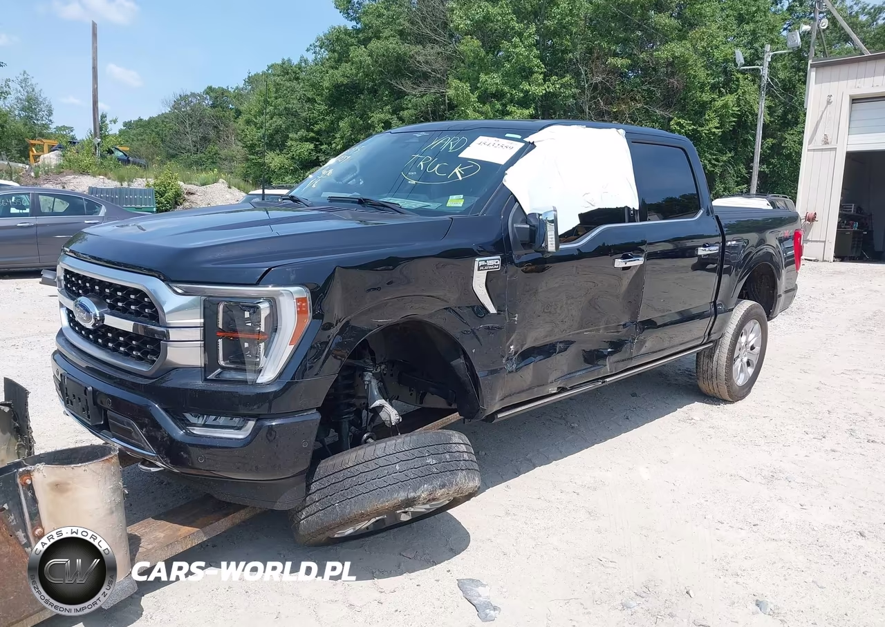 2023 Ford F-150 Platinum VIN:1FTFW1E86PFC25172 - 2