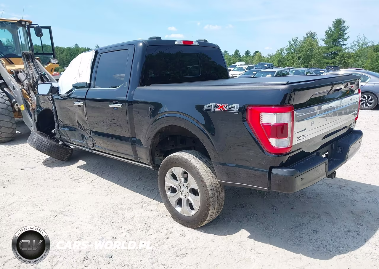 2023 Ford F-150 Platinum VIN:1FTFW1E86PFC25172 - 3