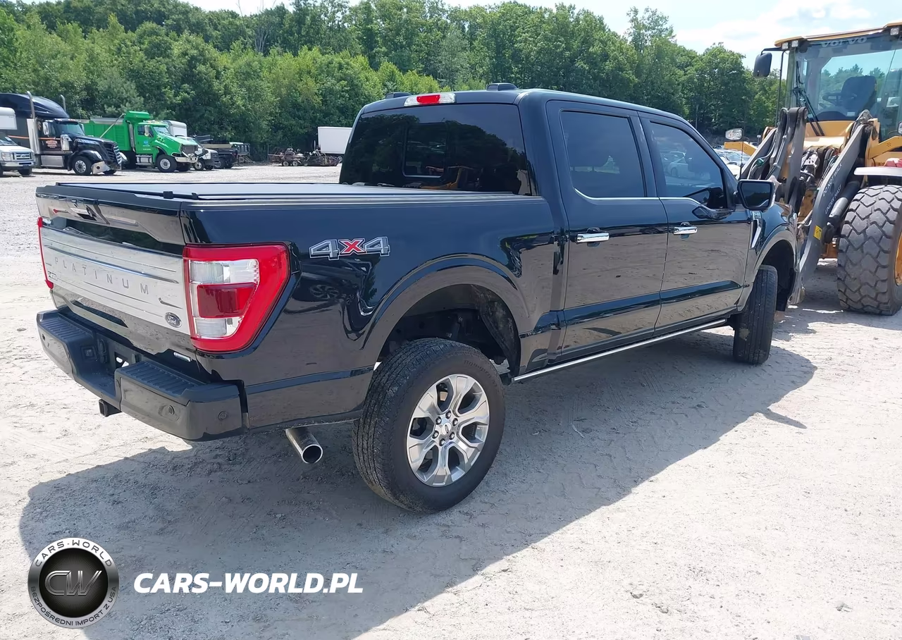 2023 Ford F-150 Platinum VIN:1FTFW1E86PFC25172 - 4