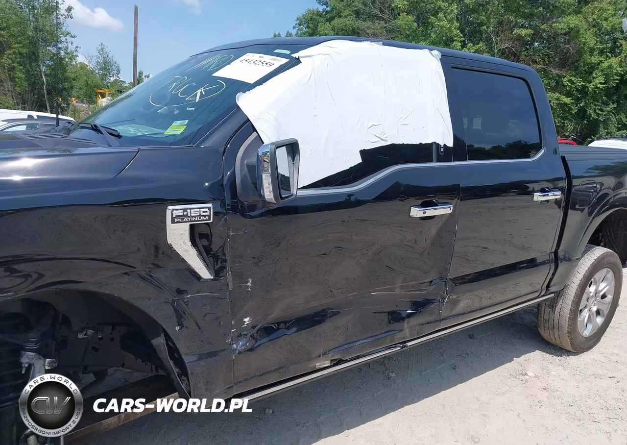 2023 Ford F-150 Platinum VIN:1FTFW1E86PFC25172 - 6