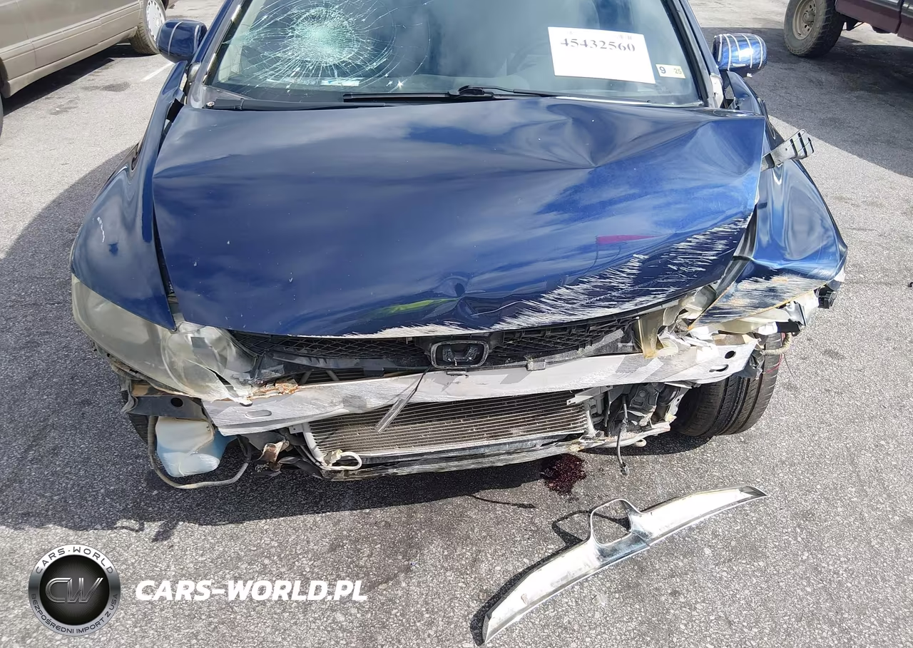 2009 Honda Civic Lx VIN:19XFA16579E007659 - 6