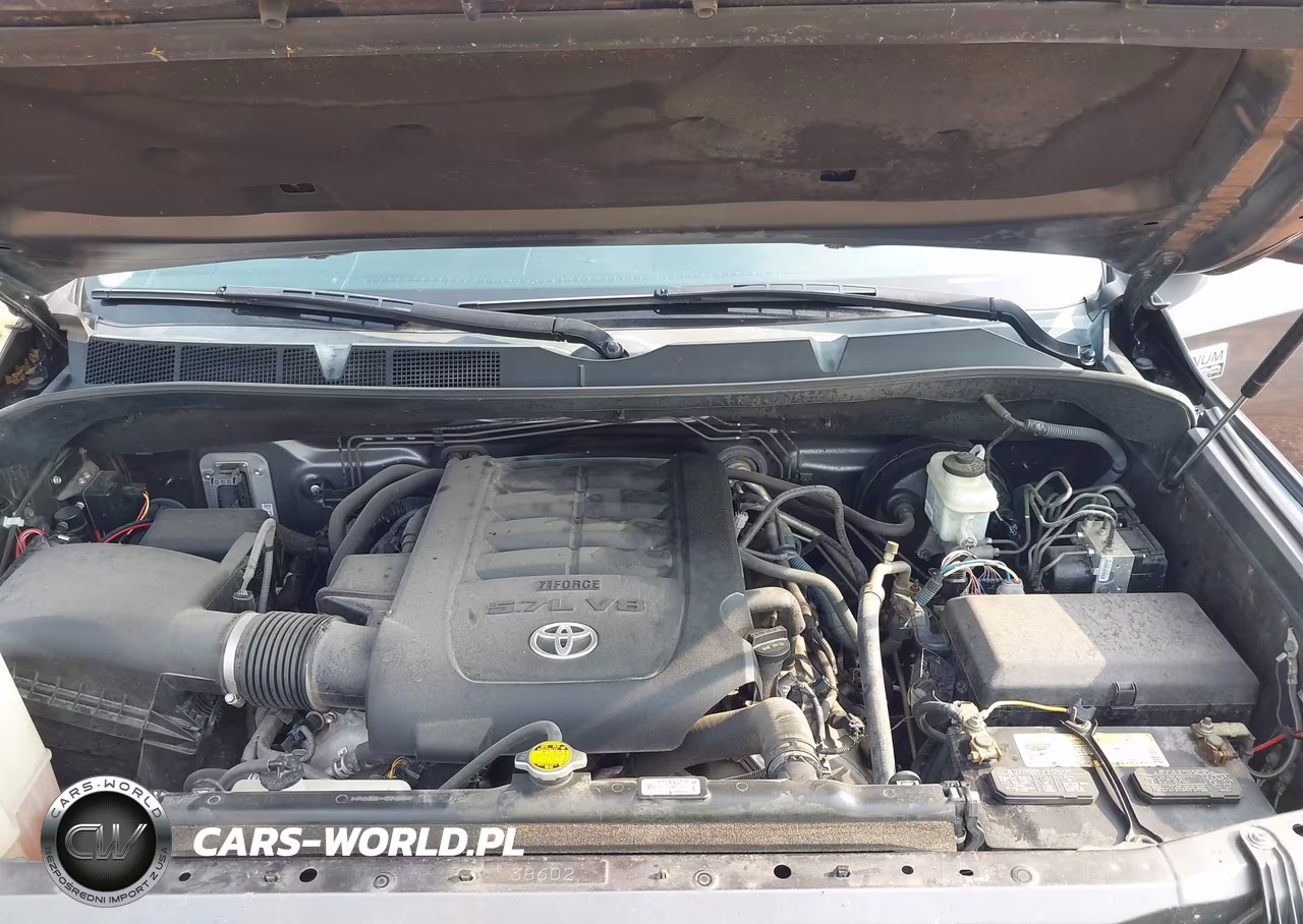 2016 Toyota Tundra Platinum 5.7L V8 VIN:5TFAW5F13GX497434 - 10