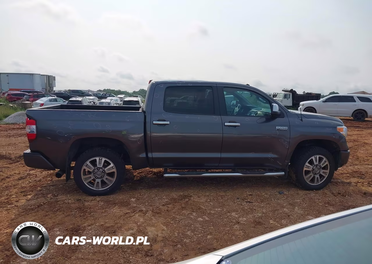 2016 Toyota Tundra Platinum 5.7L V8 VIN:5TFAW5F13GX497434 - 13