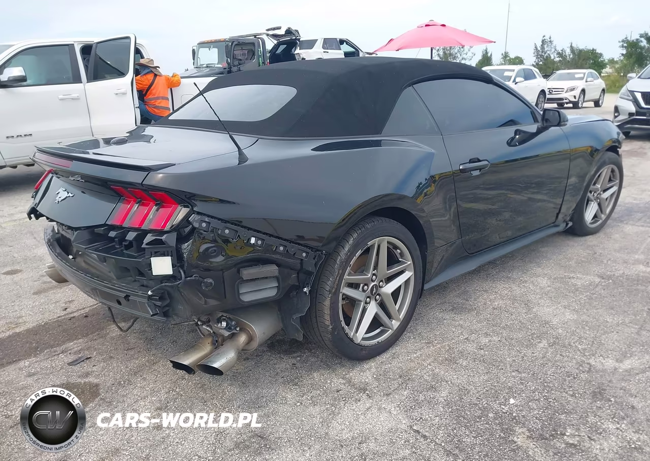 2024 Ford Mustang VIN:1FAGP8UH4R5111245 - 4