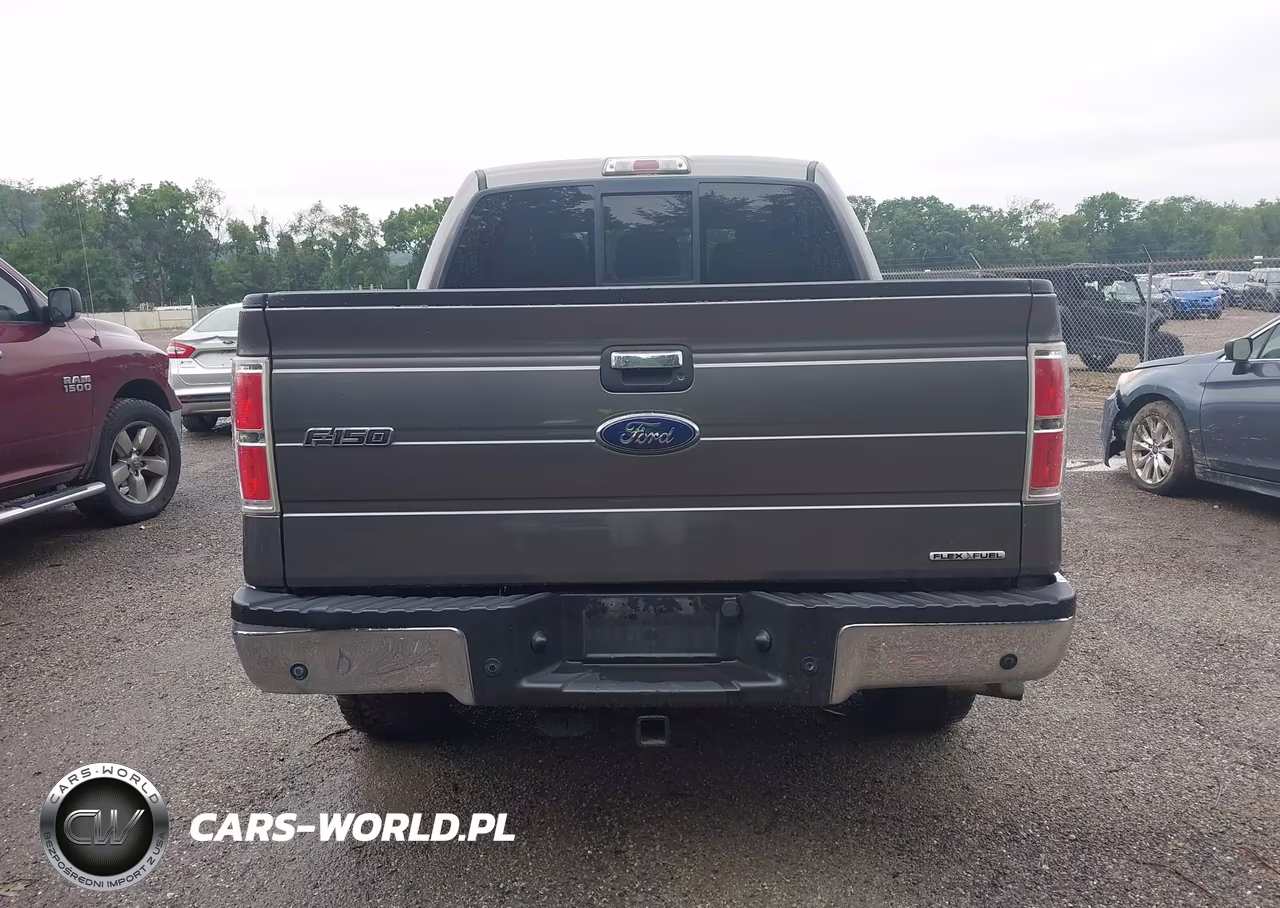 2011 Ford F-150 Fx4-King Ranch-Lariat-Platinum-Xl-Xlt VIN:1FTFW1EF2BFD07360 - 16