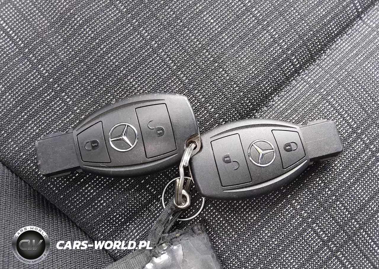 2019 Mercedes-Benz Metris VIN:WD3PG2EAXK3509080 - 11
