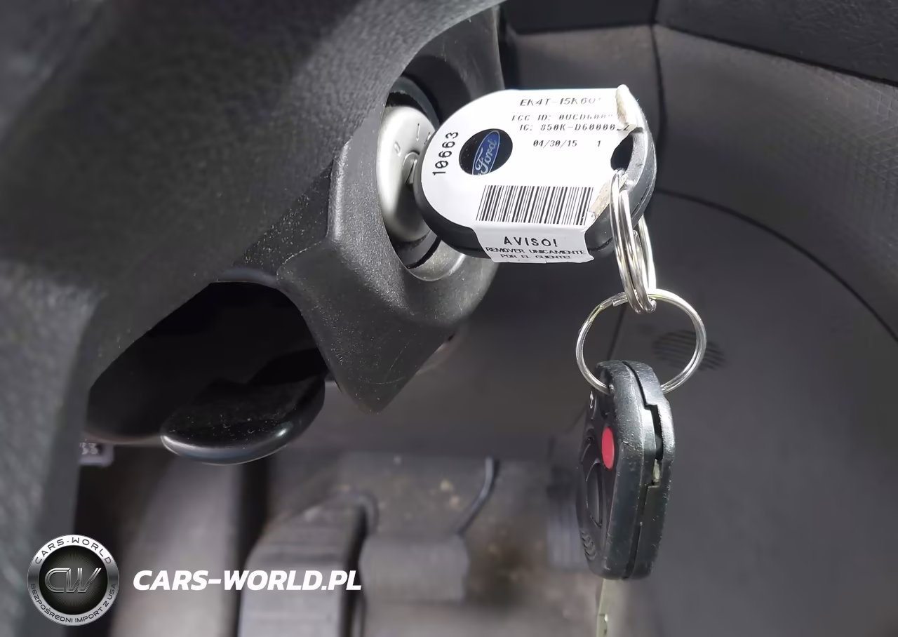 2015 Ford Transit Connect Xl VIN:NM0LE7E73F1222187 - 11