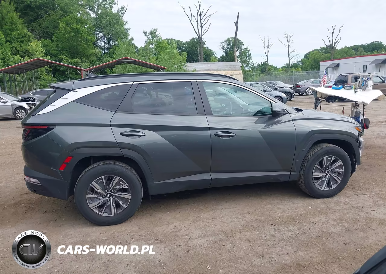2022 Hyundai Tucson Hybrid Blue VIN:KM8JBCA17NU030731 - 14