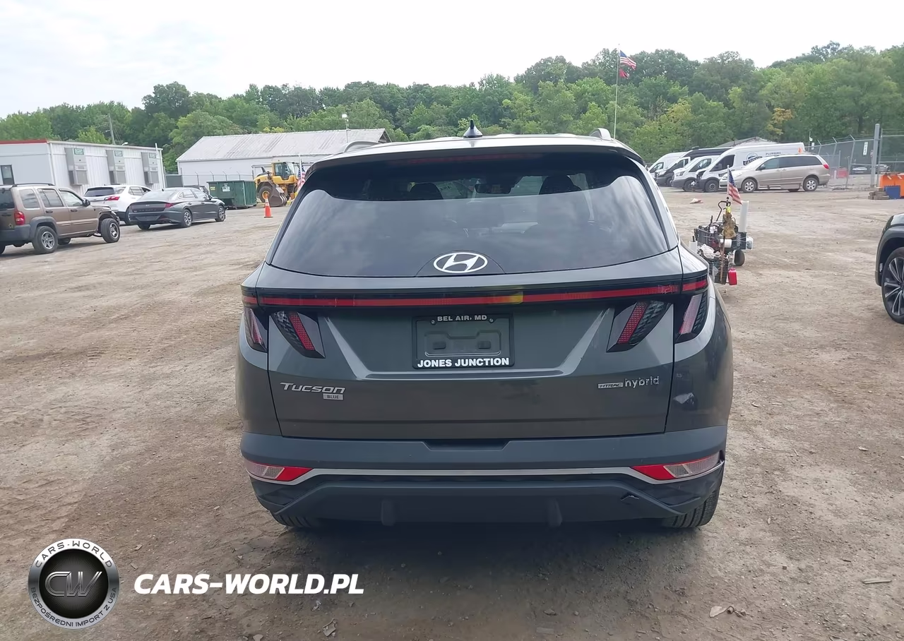 2022 Hyundai Tucson Hybrid Blue VIN:KM8JBCA17NU030731 - 17