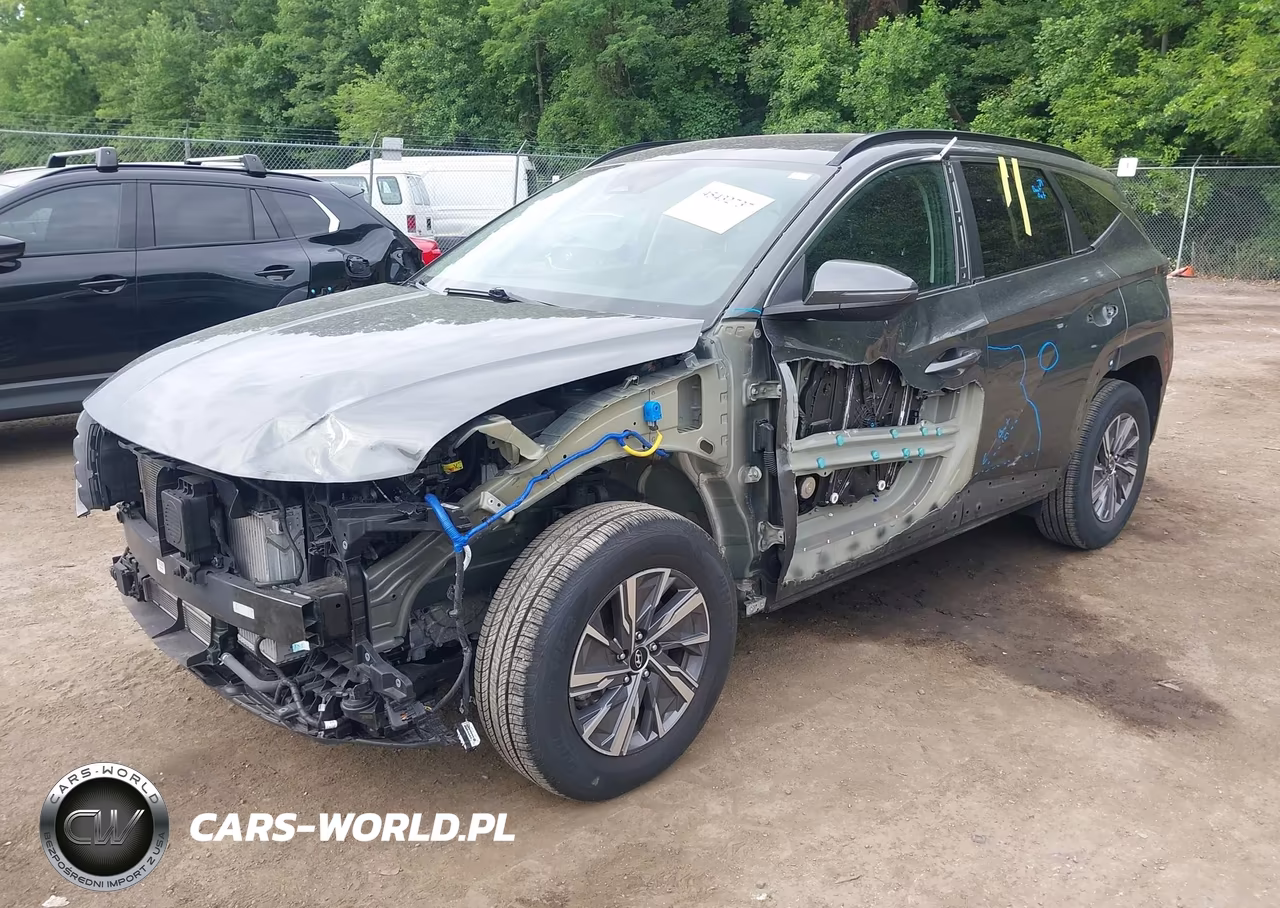 2022 Hyundai Tucson Hybrid Blue VIN:KM8JBCA17NU030731 - 2