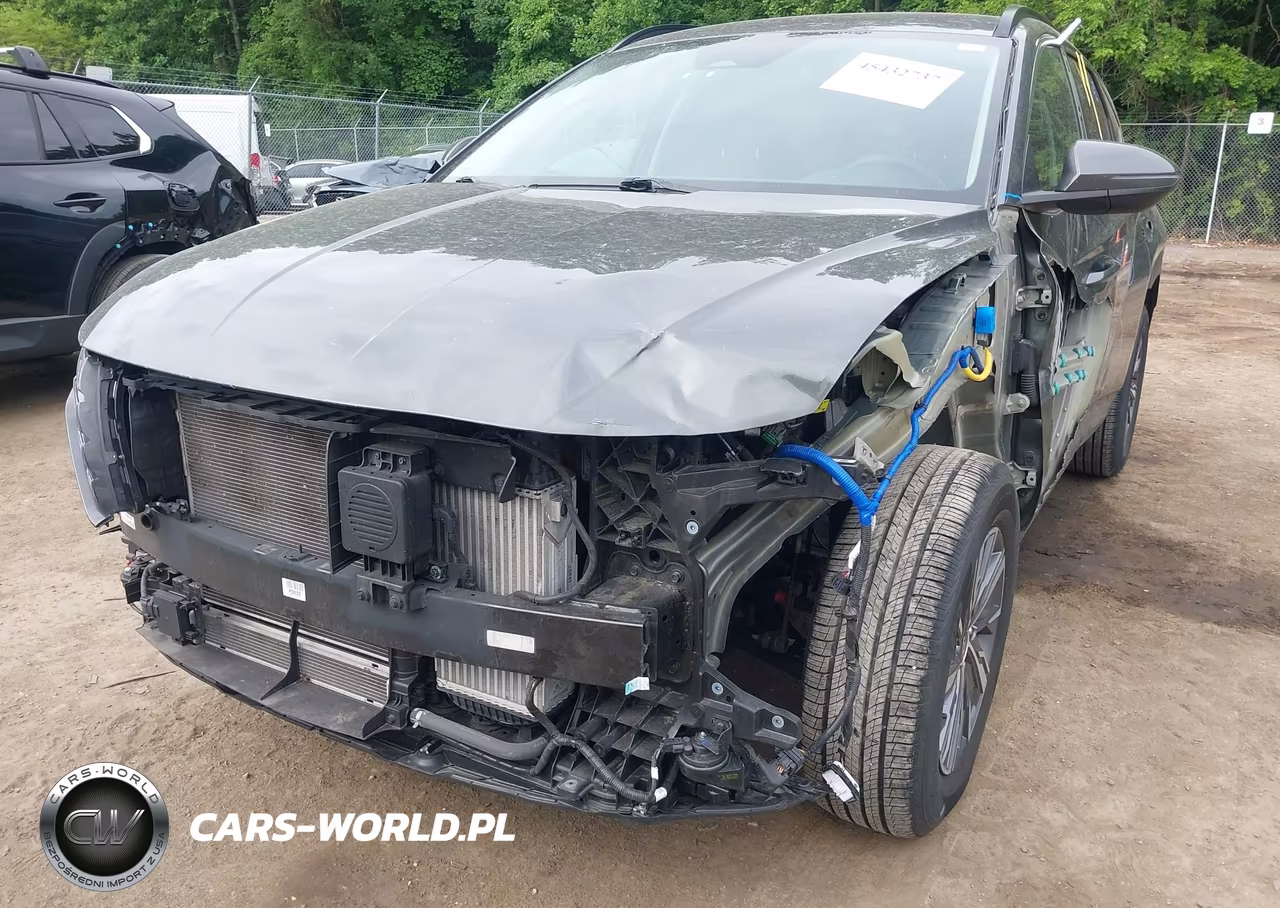 2022 Hyundai Tucson Hybrid Blue VIN:KM8JBCA17NU030731 - 20