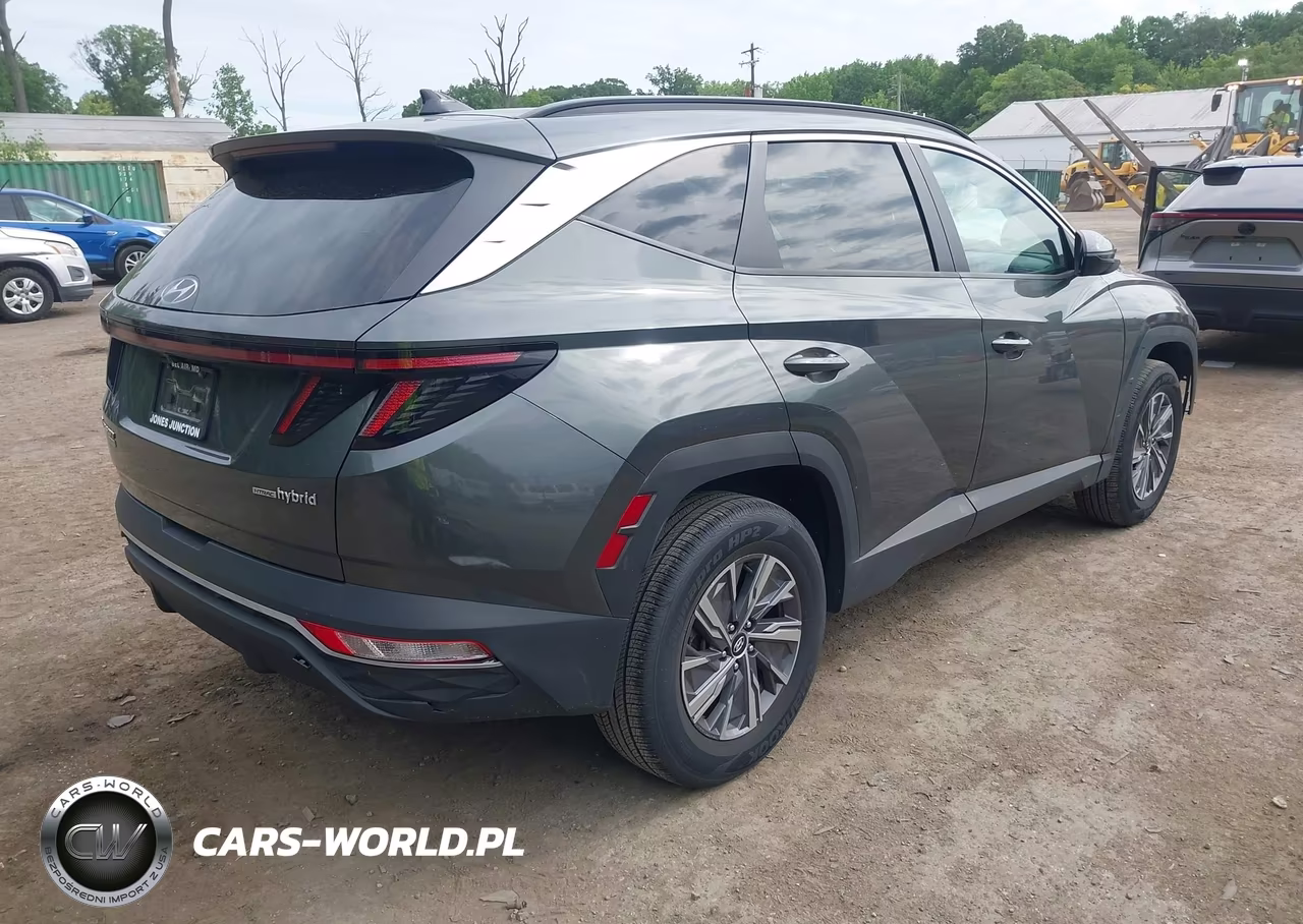 2022 Hyundai Tucson Hybrid Blue VIN:KM8JBCA17NU030731 - 4