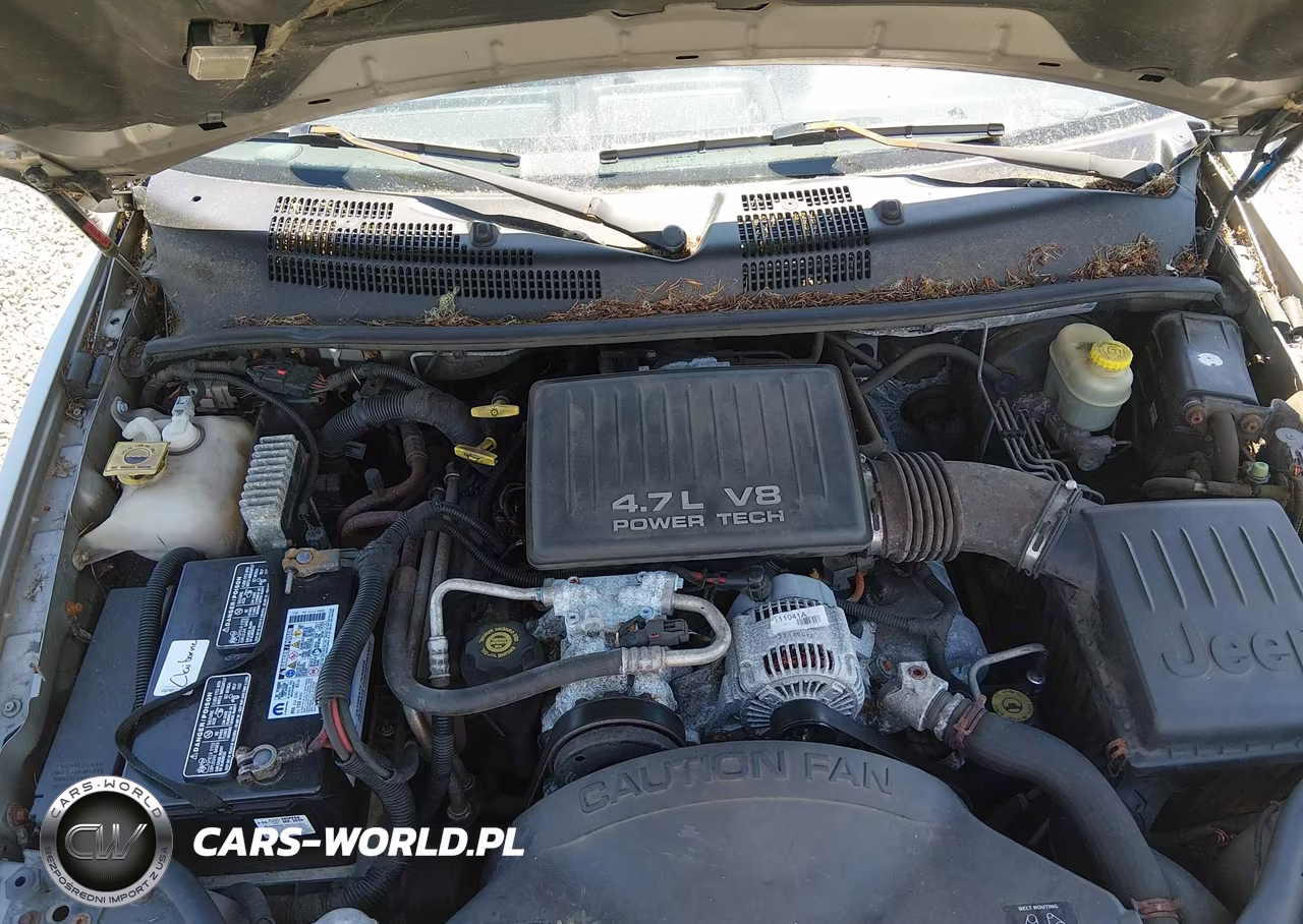 2000 Jeep Grand Cherokee Laredo VIN:1J4GW48N4YC219794 - 10