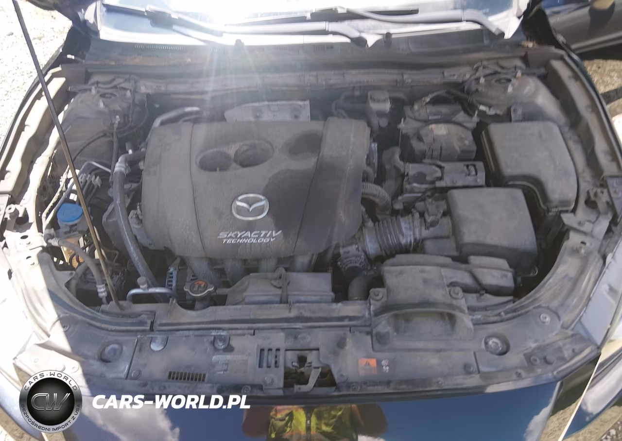2016 Mazda Mazda3 I Sport VIN:JM1BM1U7XG1349102 - 10
