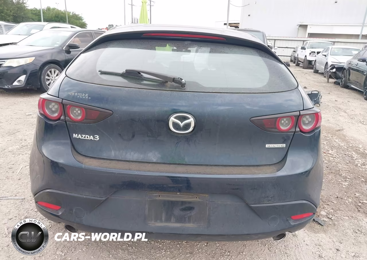 2020 Mazda Mazda3 VIN:JM1BPALM0L1175808 - 17