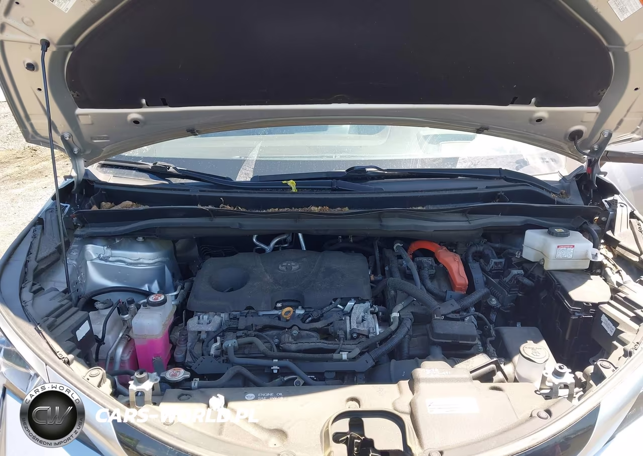2021 Toyota Sienna Platinum VIN:5TDESKFC1MS013016 - 10
