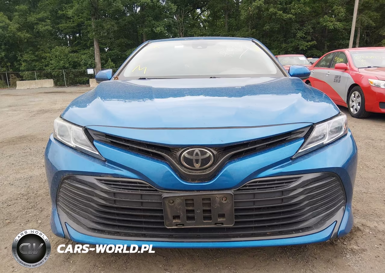2019 Toyota Camry Le VIN:4T1B11HK2KU255113 - 11