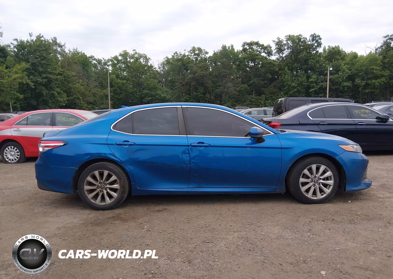 2019 Toyota Camry Le VIN:4T1B11HK2KU255113 - 12