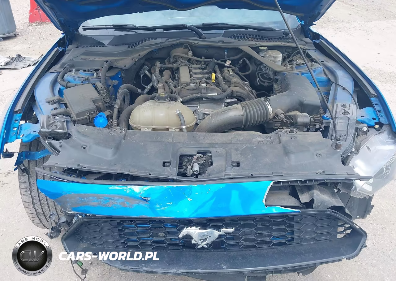 2021 Ford Mustang Ecoboost Premium VIN:1FATP8UH0M5115672 - 10