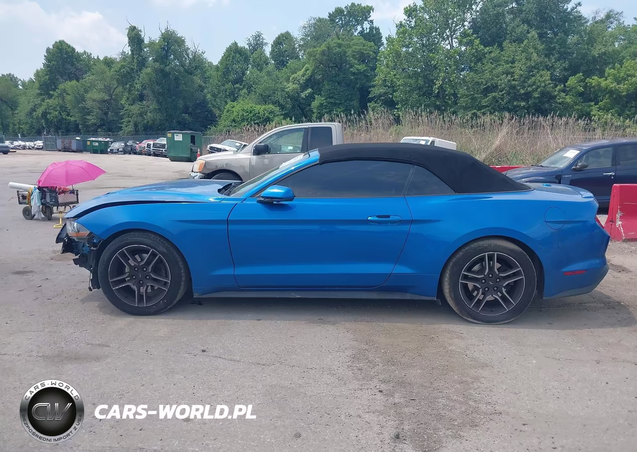 2021 Ford Mustang Ecoboost Premium VIN:1FATP8UH0M5115672 - 15