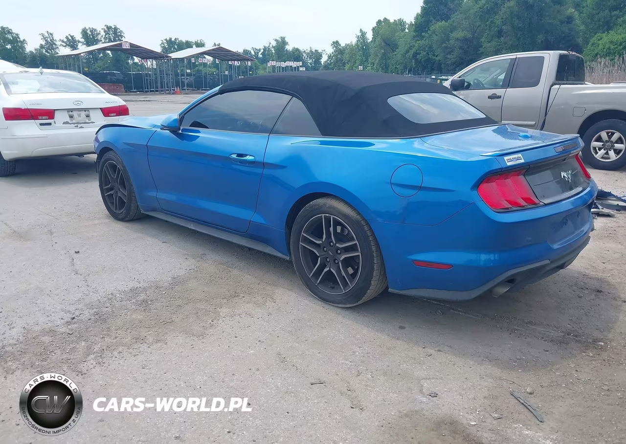 2021 Ford Mustang Ecoboost Premium VIN:1FATP8UH0M5115672 - 3