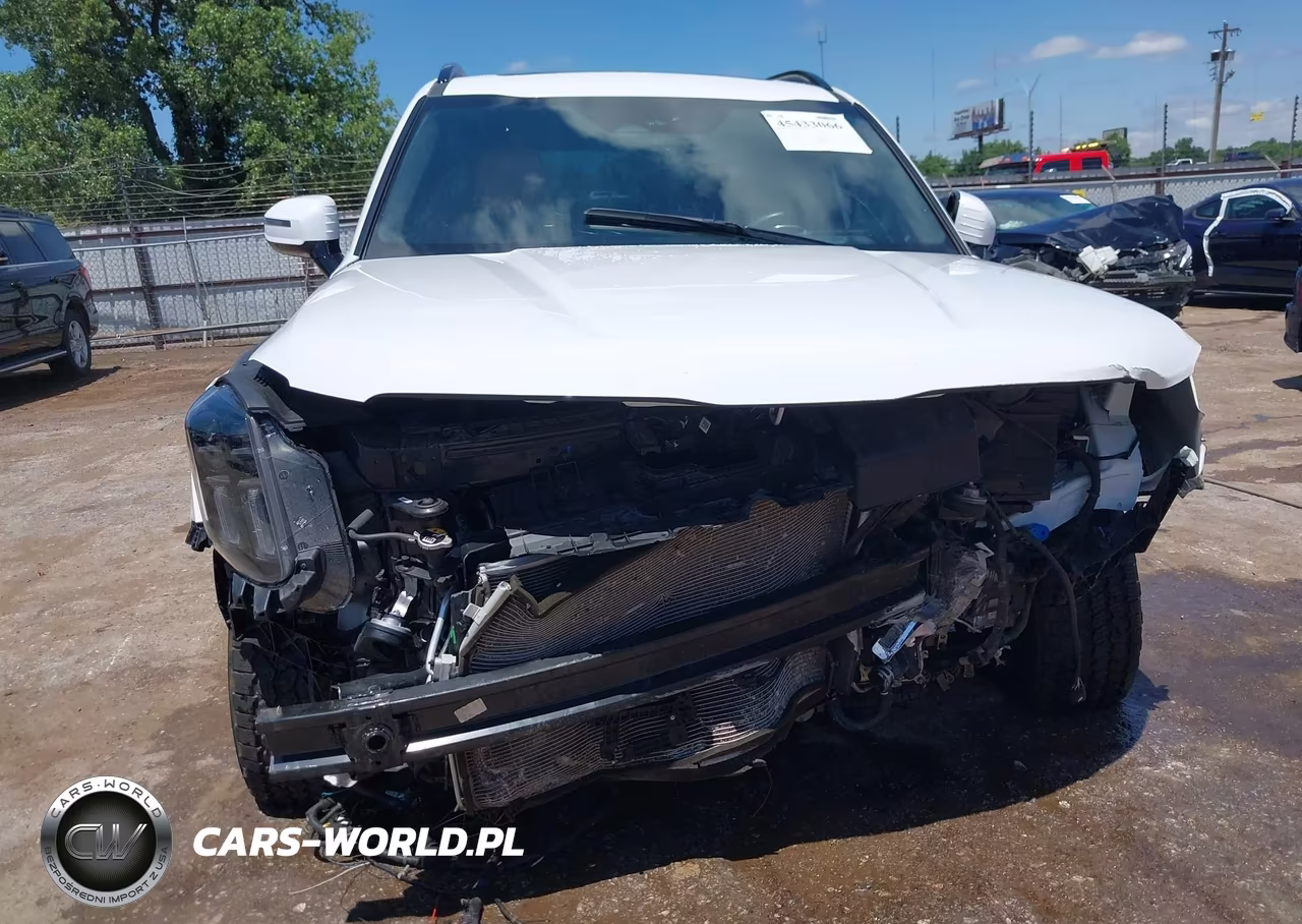 2025 Kia Telluride Sx Prestige X-Pro VIN:5XYP5DGC8SG622494 - 12