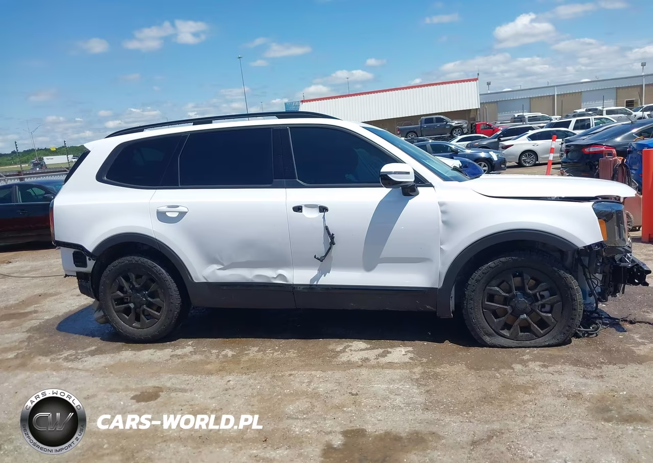 2025 Kia Telluride Sx Prestige X-Pro VIN:5XYP5DGC8SG622494 - 13