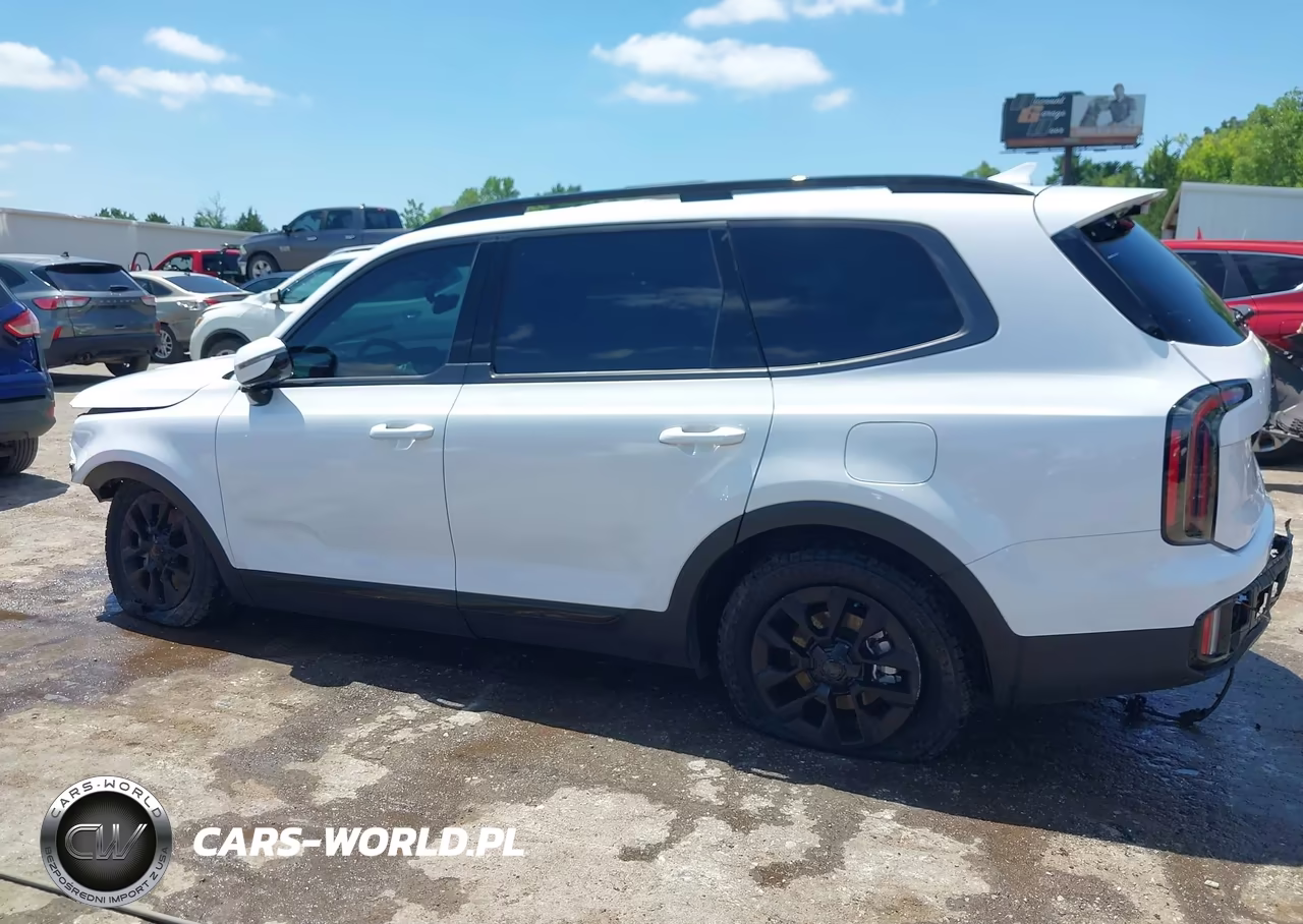 2025 Kia Telluride Sx Prestige X-Pro VIN:5XYP5DGC8SG622494 - 14