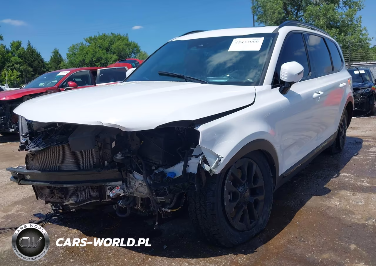 2025 Kia Telluride Sx Prestige X-Pro VIN:5XYP5DGC8SG622494 - 2