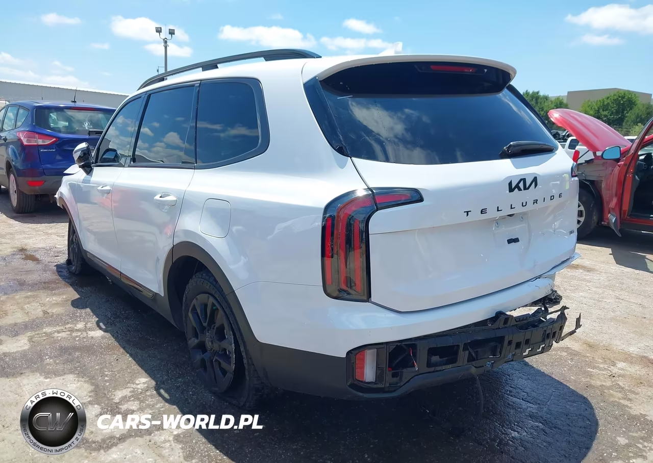 2025 Kia Telluride Sx Prestige X-Pro VIN:5XYP5DGC8SG622494 - 3