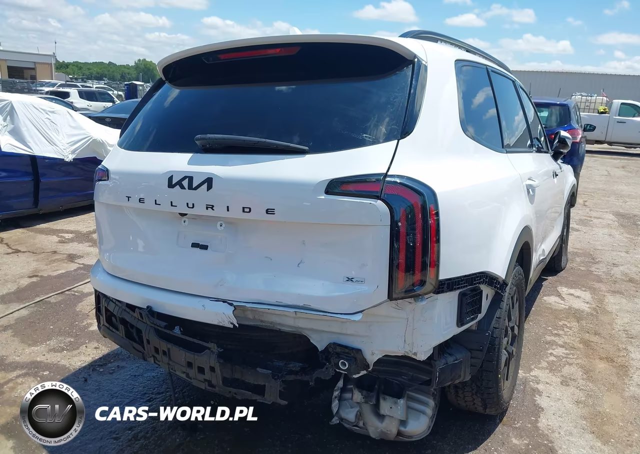 2025 Kia Telluride Sx Prestige X-Pro VIN:5XYP5DGC8SG622494 - 4