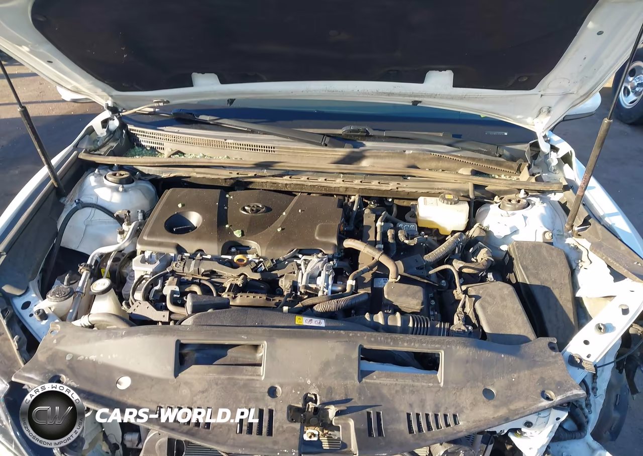 2020 Toyota Camry Le Hybrid VIN:4T1C31AK2LU530747 - 10