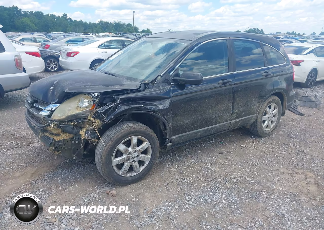 2010 Honda Cr-V Lx VIN:5J6RE4H36AL051866 - 2