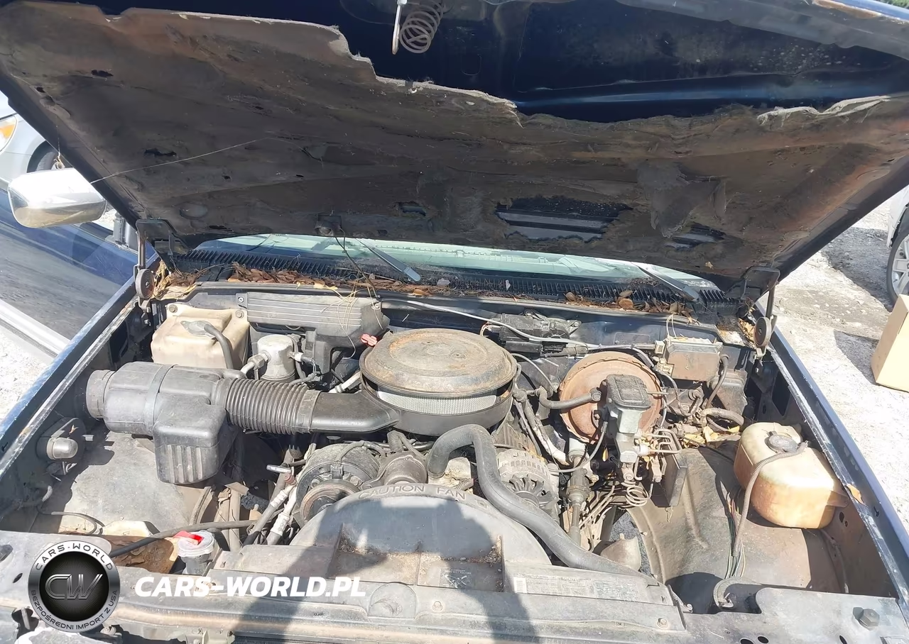 1993 GMC Sierra K1500 VIN:2GTEK19KXP1544269 - 10